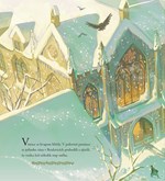 a10110f0010969_harry-potter-vanoce-v-bra