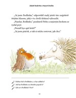 a101f0f0010032_jezek-bodlinka-a-mazana-k