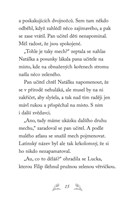 a101f0f0010871_npssk-15-ztracena-lasicka