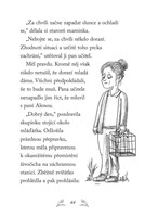 a101f0f0010871_npssk-15-ztracena-lasicka