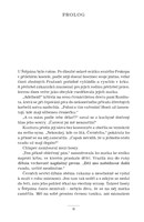 A101V0F0010689_Rytir-zeleneho-krize-list