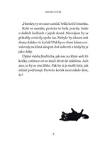 a101f0f0011195_kocicka-hamley-4-a-kouzel