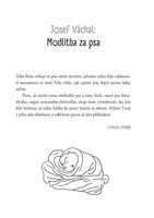 a101a0f0011117_psi-prihody-a-nehody-v-ce