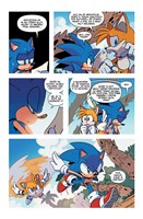 a102m1f0007731_jezek-sonic-4-list3.jpg