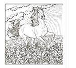 a101e0n0011100_rise-koni-omalovanky_list