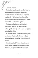 b102l10000568_mesacni-jazdci-2_burkovy_z