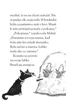 b102l10000414_steniatka-z-hunatej-akadem