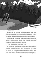 b102l10000619_tigri-tim-sprisahanie-pod-