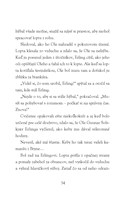 b102l10000966_hviezdy-futbalu-haaland_2.