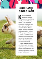 b107l10000918_ako-sa-dohovorit-so-zviera