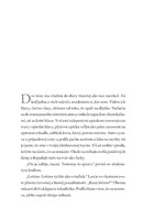 b102l10000463_na-zemi-sme-len-chvilk-nad