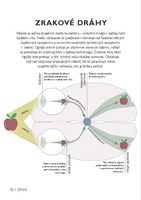 b102l10000828_jednoducho-mozog-_stranka_