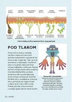 b102l10000828_jednoducho-mozog-_stranka_