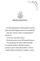 b102l10000567_mesacni-jazdci-1-ohnovy-ko