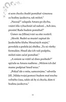 b102l10000567_mesacni-jazdci-1-ohnovy-ko