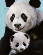 b102l10000591_zvierata-a-ich-uzasny-svet