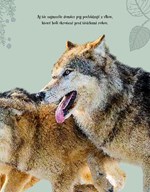 b102l10000591_zvierata-a-ich-uzasny-svet