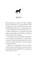 b102l10000519_mystik-a-polnocna-jazda-li