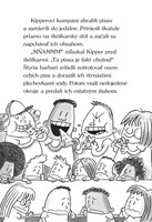 b102l10000710_kb-9-a-neuteseny-navrat-ti