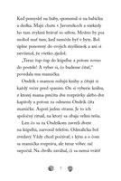 b102l10000740_zvieraci-zachranari-staros