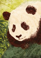 A101B0N0013186_Pesky-mezi-buddhisty_list