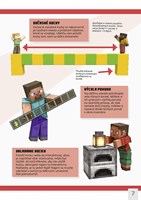 A102M1F0012757_minecraft-stavebne-chutov