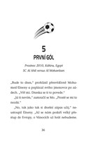 a101f0f0011129_hvezdy-fotbal-hriste-9-sa