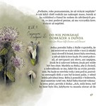 A101V0F20859_Povesti-bratri-Grimmu-list3