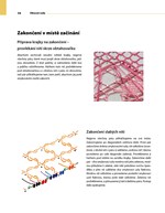 A101E0N0010846_Palickovani-Vlackova_list