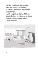 b102l10001121_julinka-mala-zverolekarka-