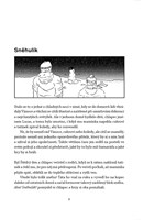 A101I0F0010792_setkani-na-moste-list1.jp