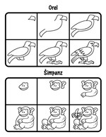 a101f0f0011933_kresleni-krok-za-krokem-1