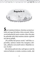 A101M0F0013337_Vaiana-Pohadkovy-roman-cz