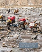 a101b0n0011001_Dotknout-se-stesti_list1.