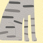 0096364707_9788025514825_mazlicci-list2.