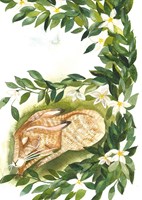 A101I0F0011885_sest-zradcu-zajice-ignace