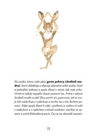 A101I0F0011885_sest-zradcu-zajice-ignace