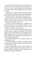 A101M0F0012666_hranicaruv-ucen-lecka-u-s