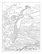 A101E0N0013618_vybarvovani-ptaci_list2.j