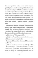 b102l10001079_ostrov-stratenych-koni-lis