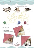 a101f0f0013427_aktivity-s-nalepkami-rozk