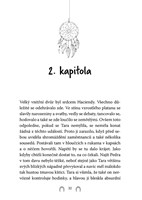 a101c0n0011092_rychly-jako-vitr-list1.jp