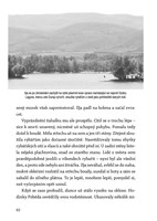 A101I0F0012055_vse-je-na-dobre-ceste-lis