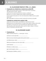 A101E0N0007406_Cestina-pro-cizince_cvice