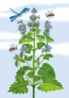 A101E0N0013971_Bylinkove-pohadky_list5.j