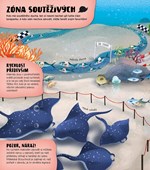 A101U0F0012305_podmorsky-lunapark-list3.