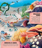 A101U0F0012305_podmorsky-lunapark-list4.