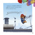 A101M0F0014227_dobrodruzstvi-medvidka-pa