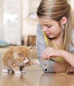 a101a0f0012683_mame-doma-kotatko-list1.j