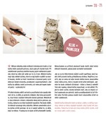 a101a0f0012683_mame-doma-kotatko-list4.j